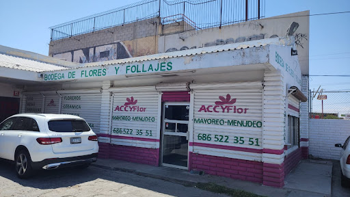Accyflor Sucursal Mexicali 2