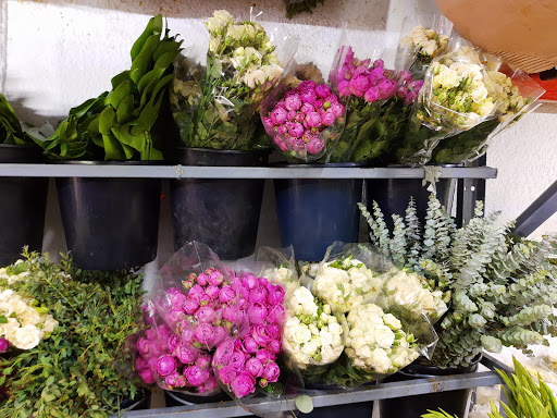 Bello Florecer (Flores Frescas, Follajes y Accesorios) MENUDEO Y MAYOREO