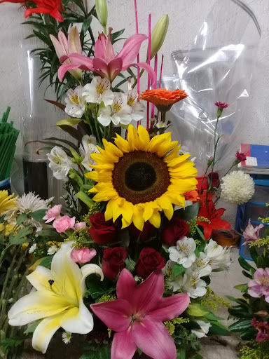 Floreria La Divina Providencia