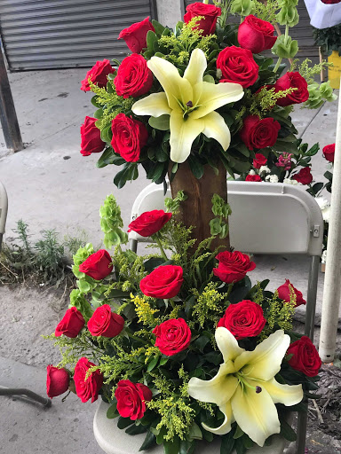 Floreria Margarita