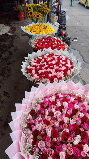 Floreria, la Rosa y el clavel D'Lila