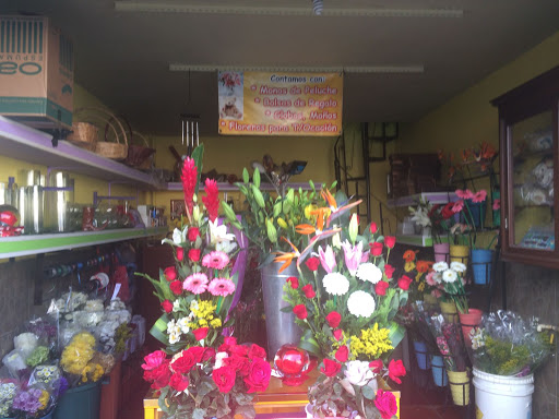 Florería La Primavera
