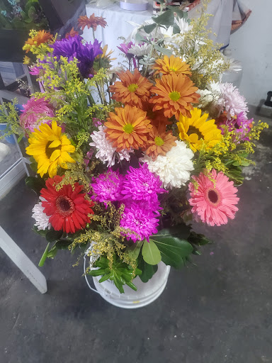 Florería coral