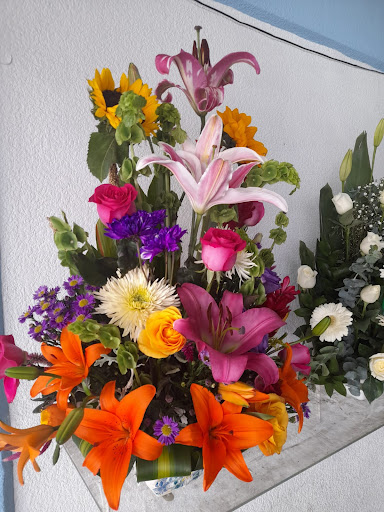 Florería y Distribuidora de Flores Rafa