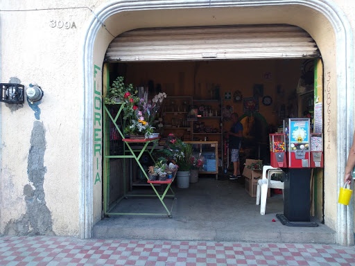 Floreria guzep