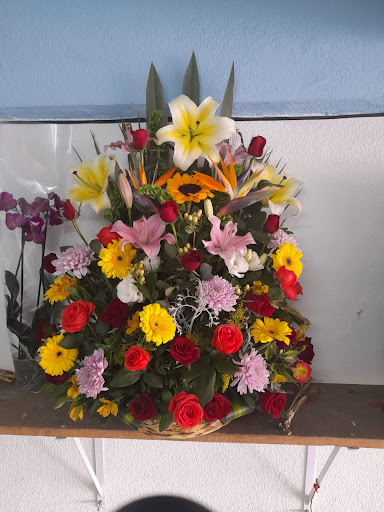 Florería y Distribuidora de Flores Rafa