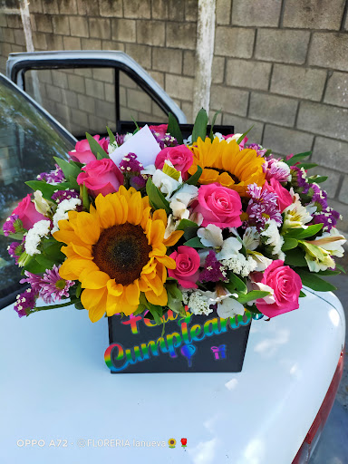 Florería "La Nueva"
