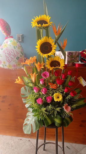 Los Girasoles Floristería