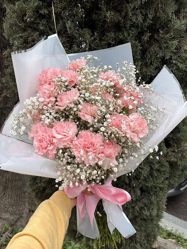 Rojo Carmin Floreria