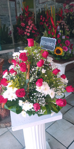 Florería Paola
