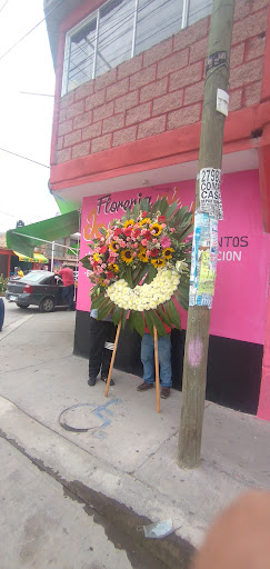 Florería Mi Jardincito SLP