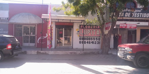 Florería Lupita