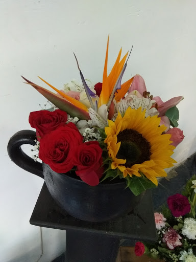 Floreria Martinez SLP