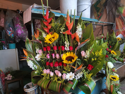 Florería Orquídea