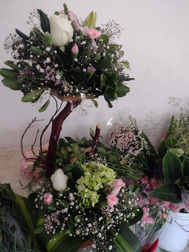 Florería escalerillas