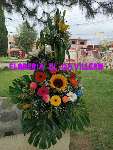 Floreria El Gavillero
