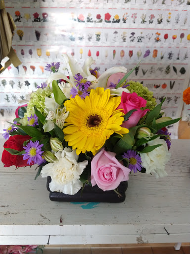 Florería Los Girasoles