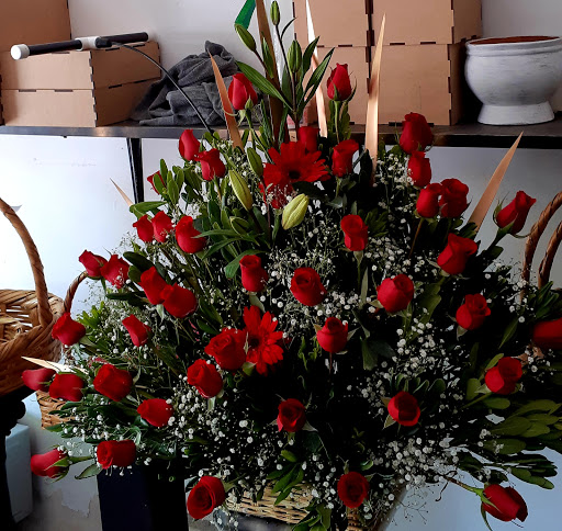 Floreria Martinez SLP