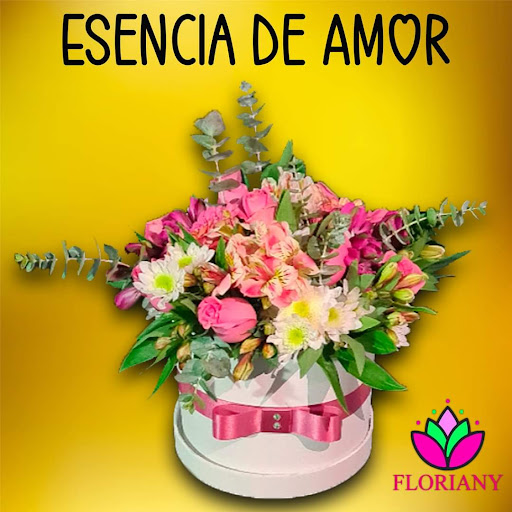 FLORERIA FLORIANY