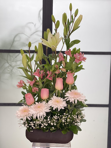 Florería La Paloma