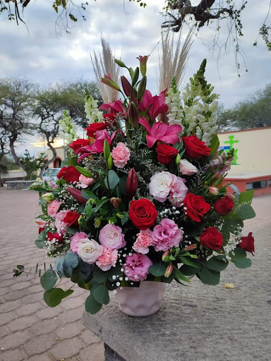 Florería lirio