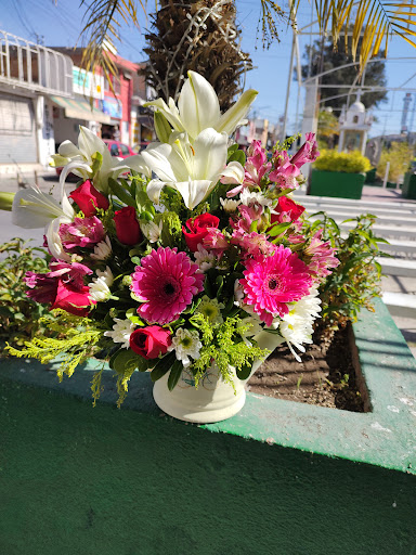 Florería Garden Bloom