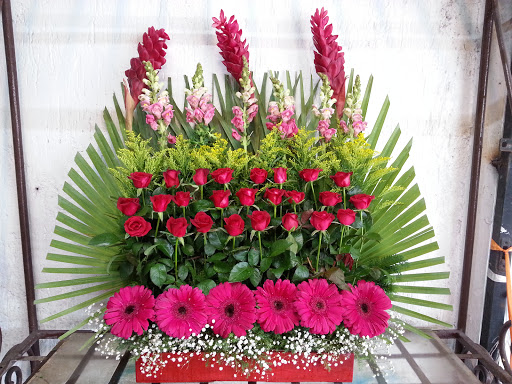 FLORERIA ROSITA ELITE