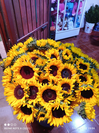 Floreria Arcila
