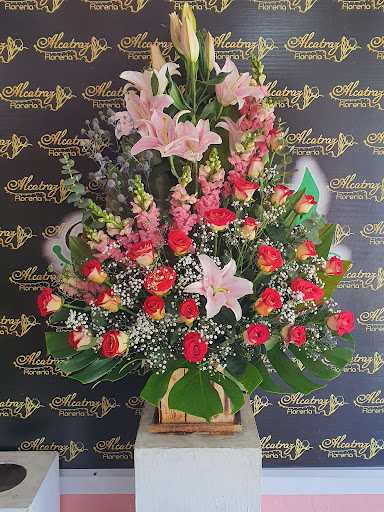 FLORERIA ALCATRAZ COZUMEL