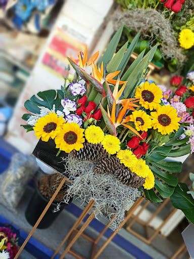 Florería Santa Ana