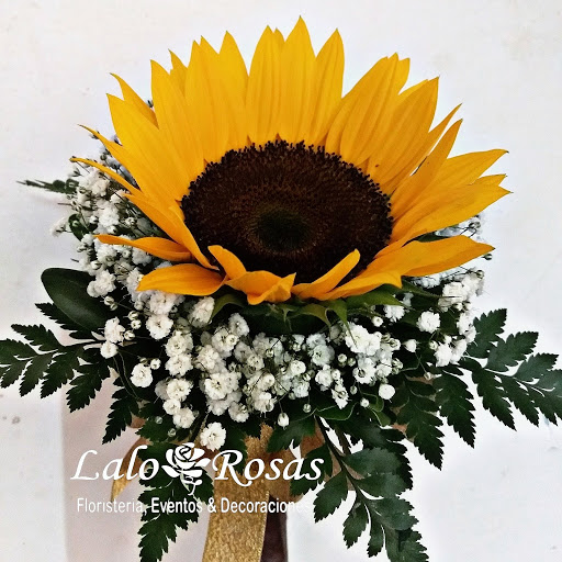 Florería Lalo rosas