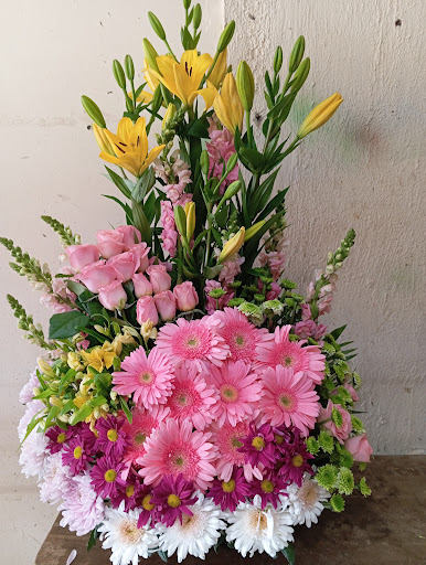 Floristeria aurora González