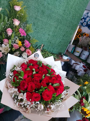 Floreria Ave De Paraiso