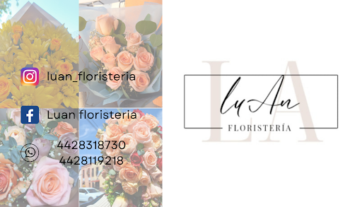Luan Floristería