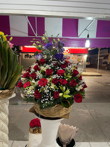 Cristo rey Rincón de Romos Ags.