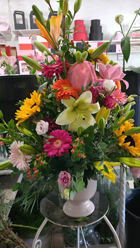 Floristería Gardenia (Florería Tino)