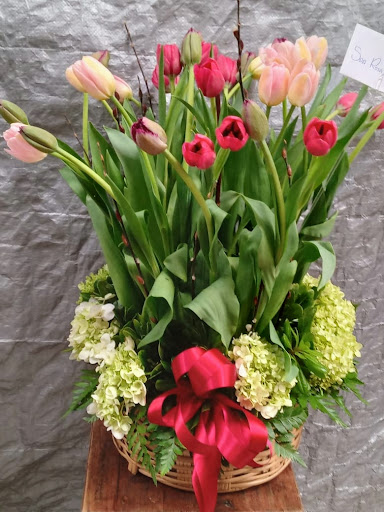 Floreria Queretaro - Floristeria Riviera