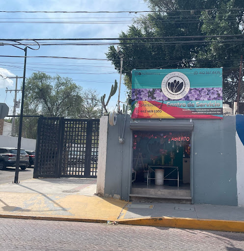 The Bloom Florería