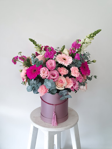 Avellana floral