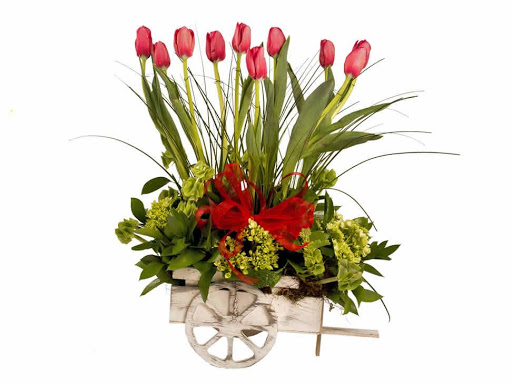 Vania Diseño Floral