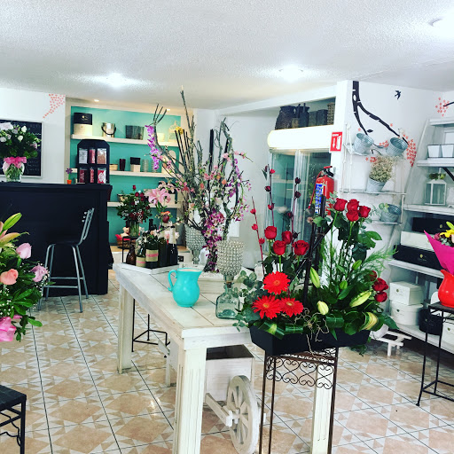 Florería Mas Floral