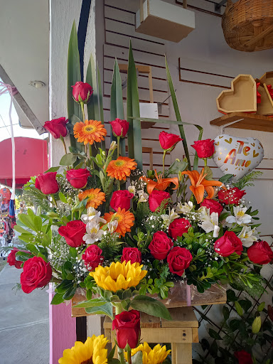 Florería Astromelia