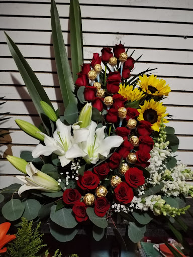 Florería Apaseo el alto