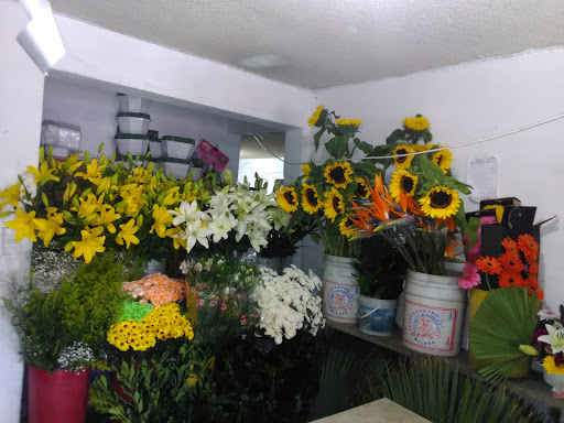 Florería El Amór ❤️