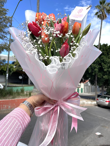 Cordova floreria