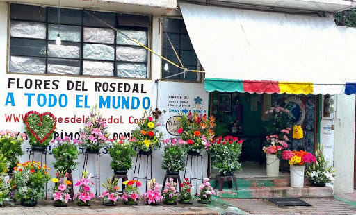 Flores Del Rosedal