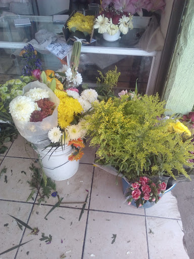 Floreria la Rosa de Guadalupe