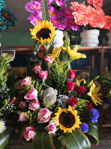 Floreria "MEXICO"