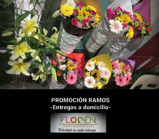 Florería Floden Patria