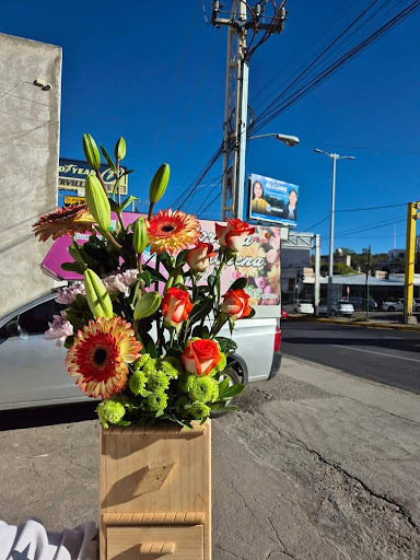 Florería Florena Guanajuato Capital